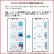 画像5: 【送料無料】メニコン 2week　プレミオ　6枚入り　1箱 (5)