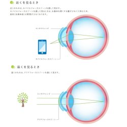 画像3: 【送料無料】メニコン 2ウィーク メニコン Duo デュオ 6枚入り 1箱＜Menicon Duo／2週間交換型／加入度数+0.50／両目約1.5ヶ月分＞