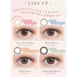 画像6: PIA FALOOM 10枚入 4箱セット（左右2箱ずつ） ＜ファルーム／ワンデー／カラコン／サークルレンズ／矢吹奈子プロデュース・イメモ／度あり・度なし／＞