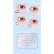 画像7: fromeyes 1-DAY Refrear dolemi 10枚入 2箱セット（左右1箱ずつ）  ＜ドレミ／ワンデー／カラコン／サークルレンズ／フロムアイズ／リフレア／UVカット／度あり・度なし＞