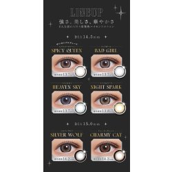 画像11: PIA　RESAY 10枚入 10箱セット（左右5箱ずつ） ＜リセイ／ワンデー／カラコン／サークルレンズ／せいせい(田向星華)プロデュース・イメモ／度あり・度なし＞