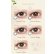 画像11: fromeyes 1-DAY Refrear　Unrolla（アンローラ） 10枚入 6箱セット（左右3箱ずつ） ＜カラー度数の組み合わせ自由／回らない水光カラコン／ワンデー／カラコン／フロムアイズ／リフレア／UVカット／度あり・度なし／シリコーンハイドロゲル／坂巻有紗さんイメージモデル＞