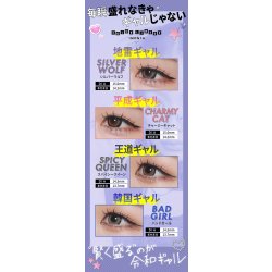 画像14: PIA RESAY ワンマンス 2枚入 1箱 ＜リセイ／マンスリー／カラコン／サークルレンズ／せいせい(田向星華)プロデュース・イメモ／度あり・度なし／1Month／1ヶ月タイプ＞
