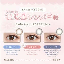 画像7: 【1箱プレゼント】PIA feliamo フェリアモ 10枚入り×2箱セット ＜合計3箱／白石麻衣さんイメージモデル／ワンデー／1day／カラコン／度あり・度なし／ナチュラル／ピア／着色直径13.0〜13.7mm＞