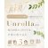 画像13: fromeyes 1-DAY Refrear　Unrolla（アンローラ） 10枚入 1箱 ＜回らない水光カラコン／ワンデー／カラコン／フロムアイズ／リフレア／UVカット／度あり・度なし／シリコーンハイドロゲル／坂巻有紗さんイメージモデル＞ (13)