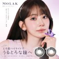 宮脇咲良プロデュース PIA MOLAK モラク ワンデー 10枚入×1箱【メール便送料無料】