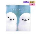 シンシア　やすらぎワンデー 30枚入り 1箱 ＜Sincere pranair 1day／ピントアシストレンズ／スマホ用・サポートレンズ／高含水／UVカット／両眼15日分＞