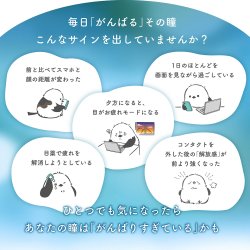 画像4: シンシア　やすらぎワンデー 30枚入り 4箱セット（左右2箱ずつ） ＜Sincere pranair 1day／ピントアシストレンズ／スマホ用・サポートレンズ／高含水／UVカット／両眼60日分＞