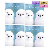 シンシア　やすらぎワンデー 30枚入り 4箱セット（左右2箱ずつ） ＜Sincere pranair 1day／ピントアシストレンズ／スマホ用・サポートレンズ／高含水／UVカット／両眼60日分＞