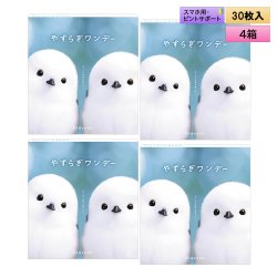 画像1: シンシア　やすらぎワンデー 30枚入り 4箱セット（左右2箱ずつ） ＜Sincere pranair 1day／ピントアシストレンズ／スマホ用・サポートレンズ／高含水／UVカット／両眼60日分＞