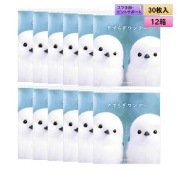 画像1: シンシア　やすらぎワンデー 30枚入り 12箱セット（左右6箱ずつ） ＜Sincere pranair 1day／ピントアシストレンズ／スマホ用・サポートレンズ／高含水／UVカット／両眼180日分＞