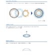 画像3: 日本アルコン フレッシュルック ワンデーカラー 10枚入り 1箱 (3)