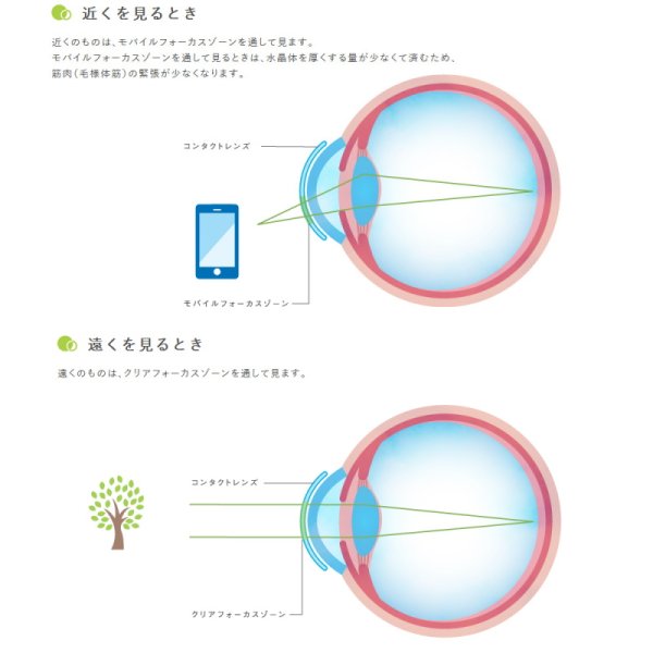 画像3: 【送料無料】メニコン 2ウィーク メニコン Duo デュオ 6枚入り 1箱<Menicon Duo/2週間交換型/加入度数+0.50/両目約1.5ヶ月分> (3)