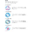 画像4: アイミー レンズコート モアクイック 500mL 1箱＜カラコン・ソフトコンタクトレンズ用ケア用品／Aime Lens coat More Quick 500mL／レンズケース1個付き／日本製／10分ケア／MPS＞ (4)