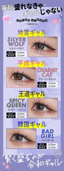 画像14: PIA RESAY ワンマンス 2枚入 1箱 ＜リセイ／マンスリー／カラコン／サークルレンズ／せいせい(田向星華)プロデュース・イメモ／度あり・度なし／1Month／1ヶ月タイプ＞ (14)