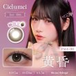 画像6: fromeyes　Cielumei（シエルメイ） 10枚入 1箱＜回らない水光カラコン／ワンデー／カラコン／ 1-DAY refrear／フロムアイズ／リフレア／UVカット／度あり・度なし／シリコーンハイドロゲル／Mumeiさんプロデュース＆イメージモデル＞ (6)