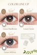 画像16: fromeyes 1-DAY Refrear　Unrolla（アンローラ） 10枚入 1箱 ＜回らない水光カラコン／ワンデー／カラコン／フロムアイズ／リフレア／UVカット／度あり・度なし／シリコーンハイドロゲル／坂巻有紗さんイメージモデル＞ (16)