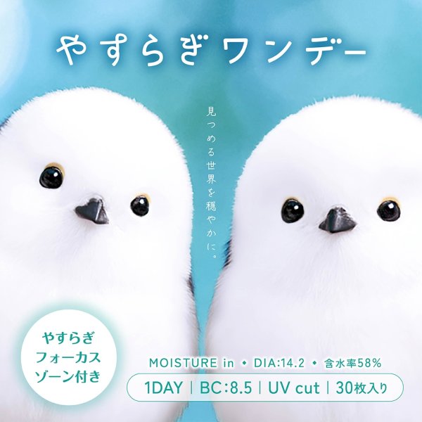 画像3: シンシア　やすらぎワンデー 30枚入り 1箱 ＜Sincere pranair 1day／ピントアシストレンズ／スマホ用・サポートレンズ／高含水／UVカット／両眼15日分＞ (3)