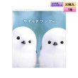 画像1: シンシア　やすらぎワンデー 30枚入り 1箱 ＜Sincere pranair 1day／ピントアシストレンズ／スマホ用・サポートレンズ／高含水／UVカット／両眼15日分＞ (1)